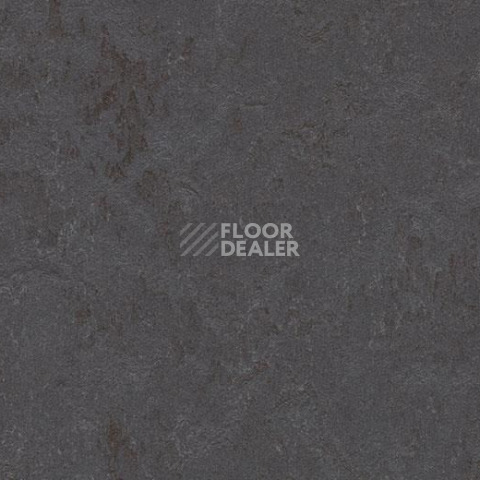 Линолеум Forbo Marmoleum Decibel on Order 372535 cosmos фото 1 | FLOORDEALER